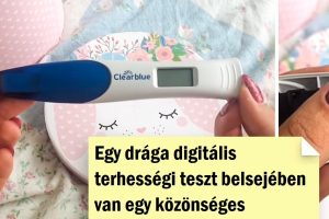 16 fotó, amely megmutatja, mi van valójában néhány dolog belsejében, amit mindannyian túl jól ismerünk