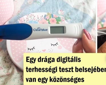 16 fotó, amely megmutatja, mi van valójában néhány dolog belsejében, amit mindannyian túl jól ismerünk