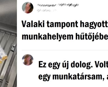 15 ember, aki tudja, hogyan ne unatkozzon a munkahelyén