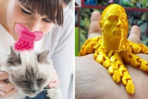 20 kép bizonyítja, hogy néhány dolog túl furcsa ehhez a világhoz