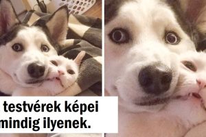 20+ fotó, amelyek megmutatják, hogy egyszerű dolgok is vezethetnek dicsőséges pillanatokhoz