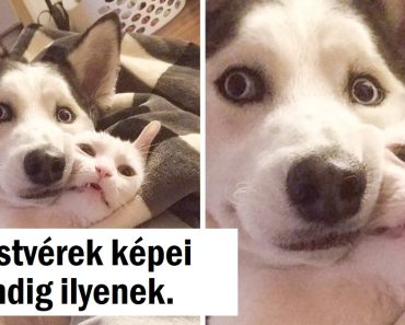 20+ fotó, amelyek megmutatják, hogy egyszerű dolgok is vezethetnek dicsőséges pillanatokhoz