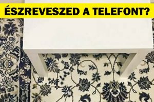 17 fotó, amely megmutatja, hogy néha a dolgok varázslatosan beleolvadnak a környezetükbe