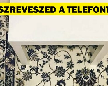 17 fotó, amely megmutatja, hogy néha a dolgok varázslatosan beleolvadnak a környezetükbe