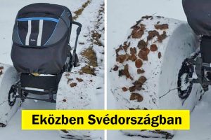17 ember, aki olyan helyzetbe került, amely előtte és utána részre választotta a napját