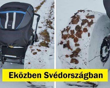 17 ember, aki olyan helyzetbe került, amely előtte és utána részre választotta a napját