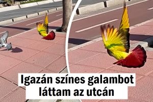 19 ember, aki valami különlegeset látott a mindennapi életben