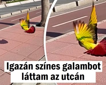 19 ember, aki valami különlegeset látott a mindennapi életben
