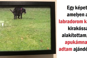 17 kép, amelyek bizonyítják, hogy a jó humorérzékkel rendelkező emberek bármilyen napot emlékezetessé tudnak tenni