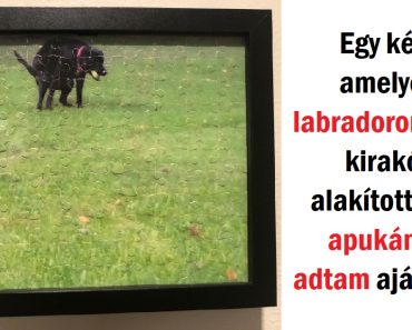 17 kép, amelyek bizonyítják, hogy a jó humorérzékkel rendelkező emberek bármilyen napot emlékezetessé tudnak tenni