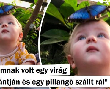 15 egybeesés, ami egy epikus filmben megtörténhet, de a való életben is előfordulhat