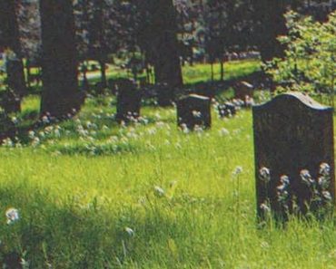 A férfi rábukkan egy sírkőre az erdőben, és meglátja rajta gyermekkori fotóját