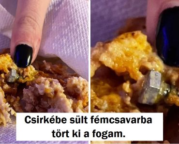 16 szerencsétlen ember, akik jobban jártak volna, ha fel sem kelnek a mai napon