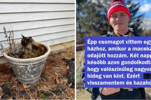 18 ember, akik elindultak dolgozni, és a nap végére igaz barátra leltek egy négylábú társaságában