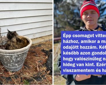 18 ember, akik elindultak dolgozni, és a nap végére igaz barátra leltek egy négylábú társaságában