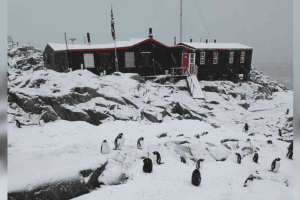 A világ legtávolabbi postahivatala felvételt hirdet, és a munkaköri leírásban pingvinszámlálás is szerepel