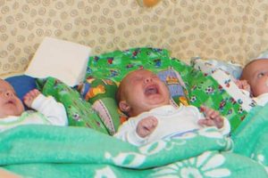 Az elhagyott háromgyermekes anyuka megy reggel etetni a babákat, és látja, hogy már valaki megetette őket