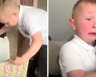 A zaklatott fiú pokoli hetet élt át az iskolában, kisírja a szívét, amikor kap egy kiskutyát