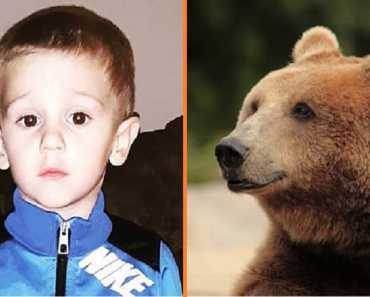 Egy 3 éves kisgyerek túlél 2 fagyos éjszakát az erdőben, azt állítja, hogy egy medve segített neki biztonságban maradni