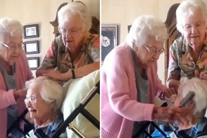 Négy 90-es éveiben járó lánytestvér gyengéden gondoskodik idős nővérükről, így adva neki “okot az életre”