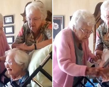 Négy 90-es éveiben járó lánytestvér gyengéden gondoskodik idős nővérükről, így adva neki „okot az életre”
