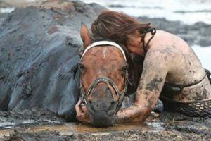 A nő három órán át kapaszkodik a lovába, miután a 400 kilós állat beleragadt a sárba