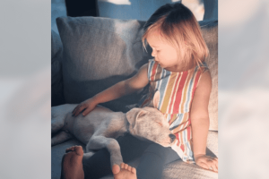 A kétéves kislány meggyőzi az anyukáját, hogy fogadjanak örökbe egy süket kóbor kutyát, miután megszerette a hálószoba ablakán keresztül