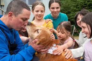 Az idős, vak golden retriever 3 hét alaszkai vadonban töltött idő után újraegyesült a családjával