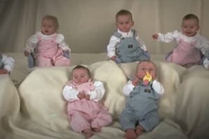 A világ első életben maradt hetesikrei a 23. születésnapjukra készülnek