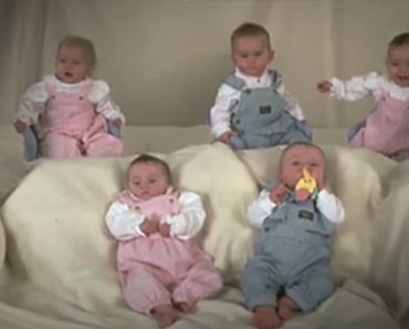 A világ első életben maradt hetesikrei a 23. születésnapjukra készülnek