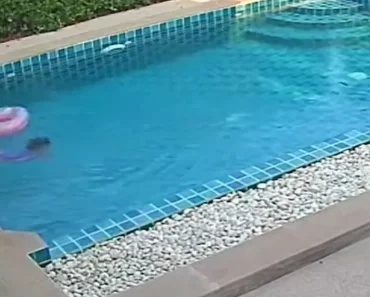 Drámai videón látható, ahogy egy hősies 3 éves kislány megmenti kishúgát a medencébe fulladástól