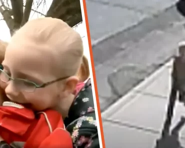 A 8 éves kislány látja, hogy elrabolják a kisöccsét, önzetlenül üldözi a rosszfiút, hogy megmentse őt