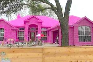 A fickó feldühítette a szomszédokat, miután rózsaszínre festette az egész házát