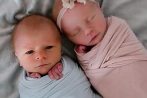 Iker kisfiú utolsó napjait örökítette meg a kamera egy gyönyörű fotózáson
