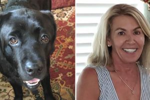 Az eltűnt, demenciában szenvedő nőt biztonságban találták a mellette lévő hűséges kutyának köszönhetően