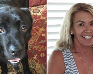 Az eltűnt, demenciában szenvedő nőt biztonságban találták a mellette lévő hűséges kutyának köszönhetően