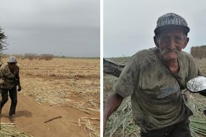 94 évesen naponta több mint 10 órát dolgozik a földeken. Gyermekei elhagyták őt.