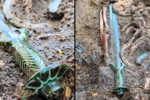 „Rendkívül ritka” és jól megőrzött 3000 éves kardot fedeztek fel Németországban