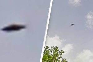 Az emberek meg vannak győződve arról, hogy a Google Maps egy UFO-t rögzített a Bermuda-szigetek felett repülve
