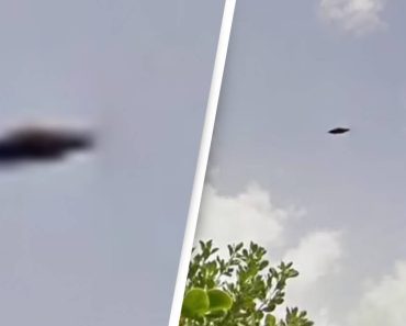 Az emberek meg vannak győződve arról, hogy a Google Maps egy UFO-t rögzített a Bermuda-szigetek felett repülve Az emberek meg vannak győződve arról, hogy a Google Maps egy UFO-t rögzített a Bermuda-szigetek felett repülve