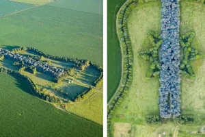 A megözvegyült gazda teljesíti néhai felesége álmát, hogy egy művészeti alkotást hozzon létre a földjeikből.