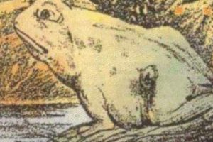 Csak kevesen látják a lovat ezen a képen – te látod?