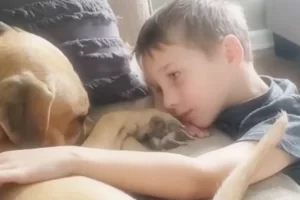 7 évesen elég pénzt gyűjtött össze ahhoz, hogy örökbe fogadjon egy bántalmazott kutyát, és új életet adjon neki.