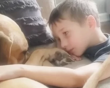 7 évesen elég pénzt gyűjtött össze ahhoz, hogy örökbe fogadjon egy bántalmazott kutyát, és új életet adjon neki. 7 évesen elég pénzt gyűjtött össze ahhoz, hogy örökbe fogadjon egy bántalmazott kutyát, és új életet adjon neki.