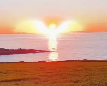 Egy amatőr fotós egy szárnyas angyal alakú naplementéről készített fotót.