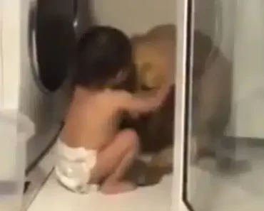 Az otthoni videó rögzíti, ahogy az édes kisgyerek megvigasztalja a vihartól megrémült kutyát. Az otthoni videó rögzíti, ahogy az édes kisgyerek megvigasztalja a vihartól megrémült kutyát.