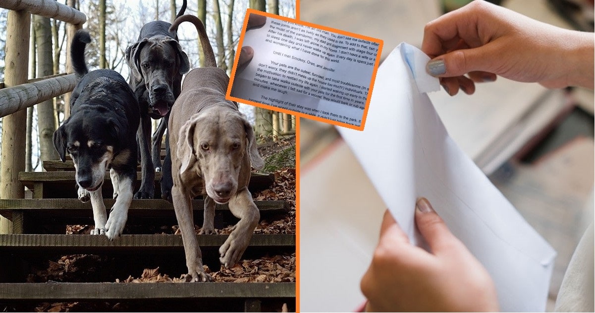 A nő megkéri a szomszédját, hogy vigyázzon a kutyáira – majd olyan levelet kap tőle, amitől könnyekbe lábad a szeme