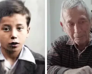 A 83 éves holokauszttúlélő, akit csecsemőként elhagytak, megtalálja rég elveszett családját.