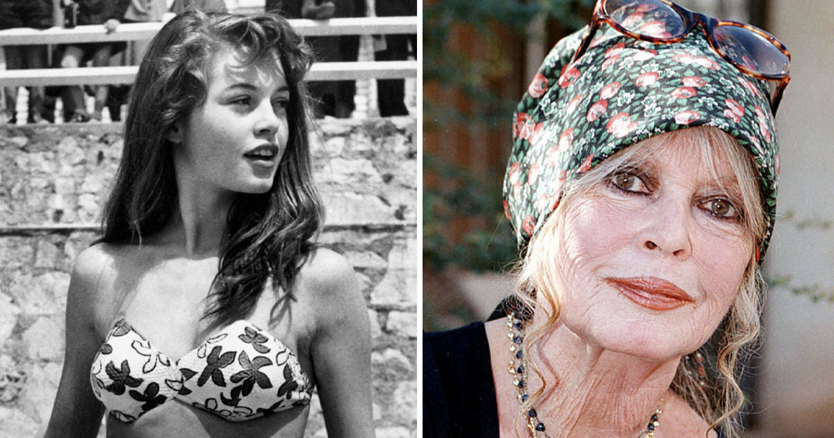 Brigitte Bardot élete a világhír után: család, visszavonulás és állatvédelem